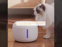 موزع مياه الحيوانات الأليفة الداخلي برونز ليدي الراتنج 213 × 213 × 145mm 5V DC